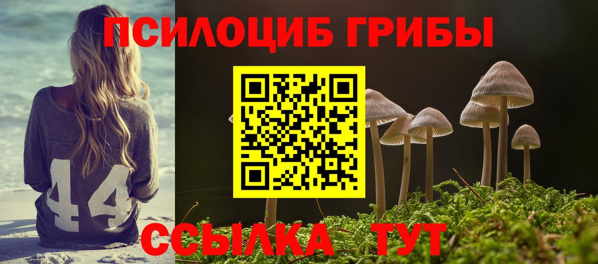 Галлюциногенные грибы мухоморы Гусиноозёрск